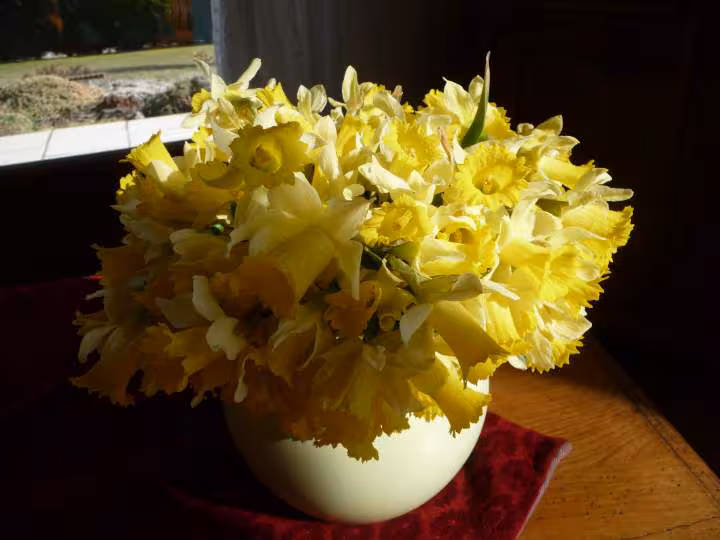 Le printemps est arrive en franche comte