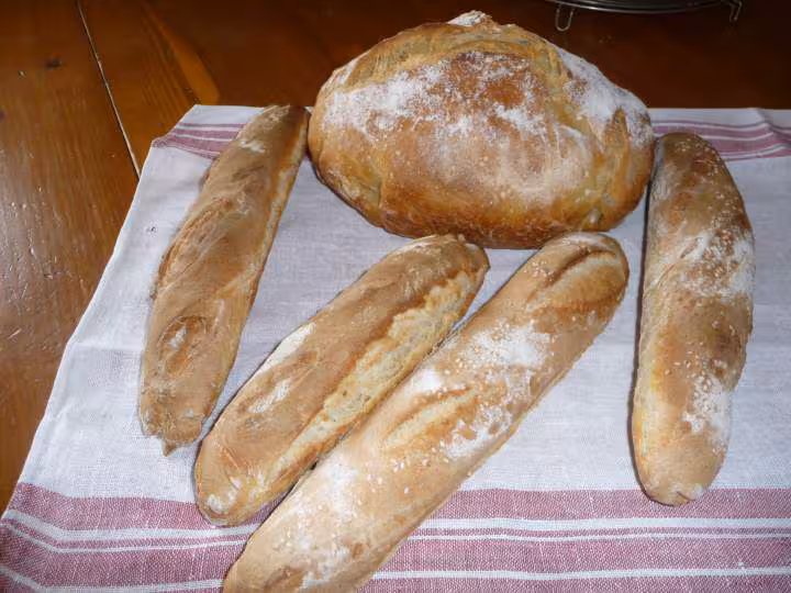 Pain lahey et baguettes au levain