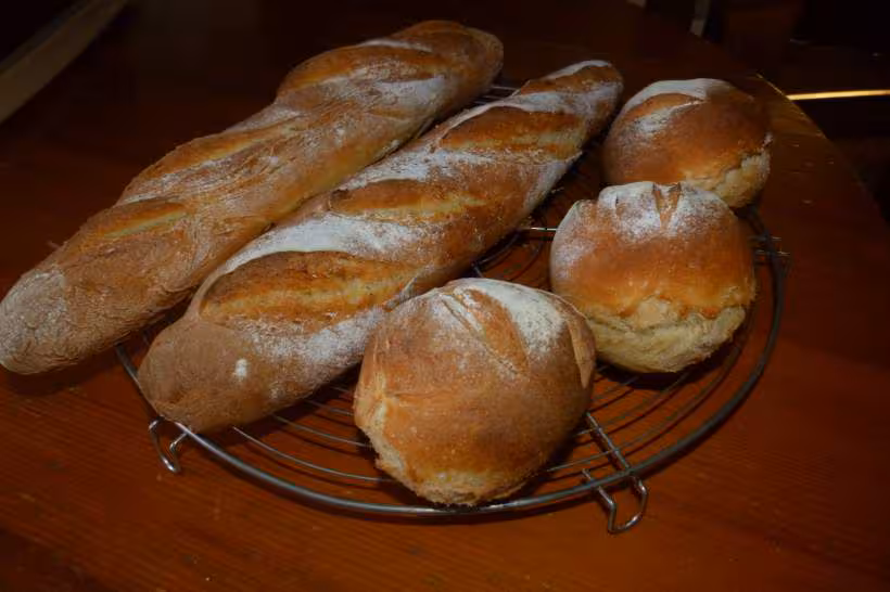 Petits pains individuels