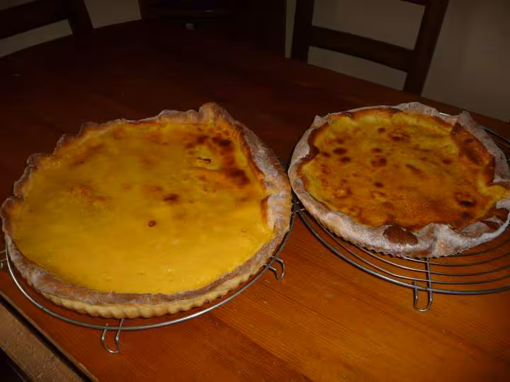 Tutche