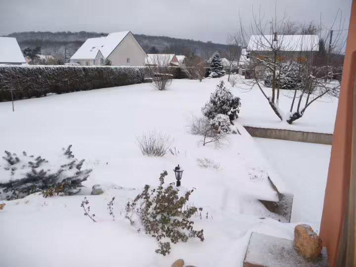 Vue sur la cour