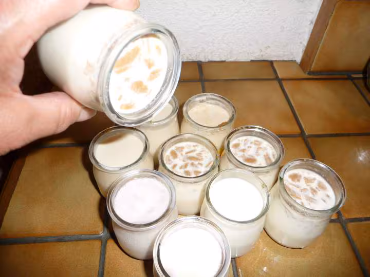 Yaourts speculos reussis pain d epices liquides