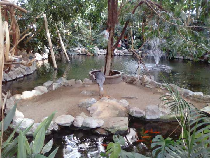 Centerparcs