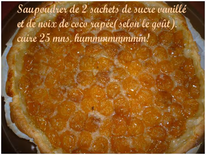 Tartes aux prunes