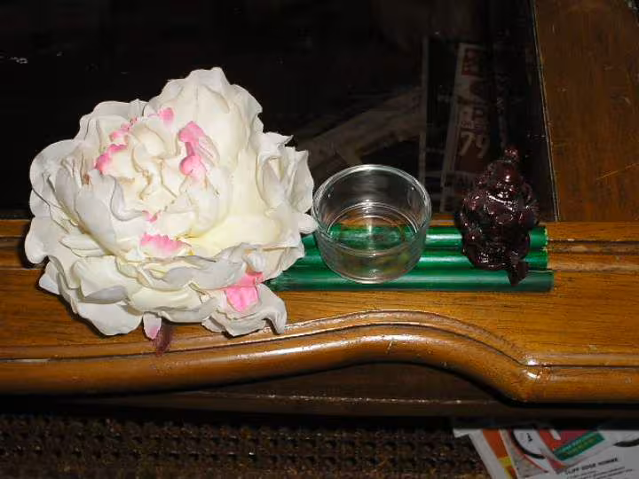Pivoine bouddha
