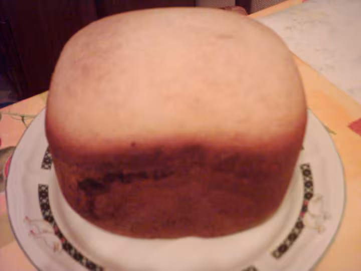 Brioche 24 janvier 2008