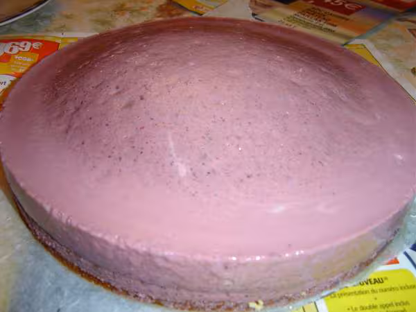 Gateau bavarois a la framboise