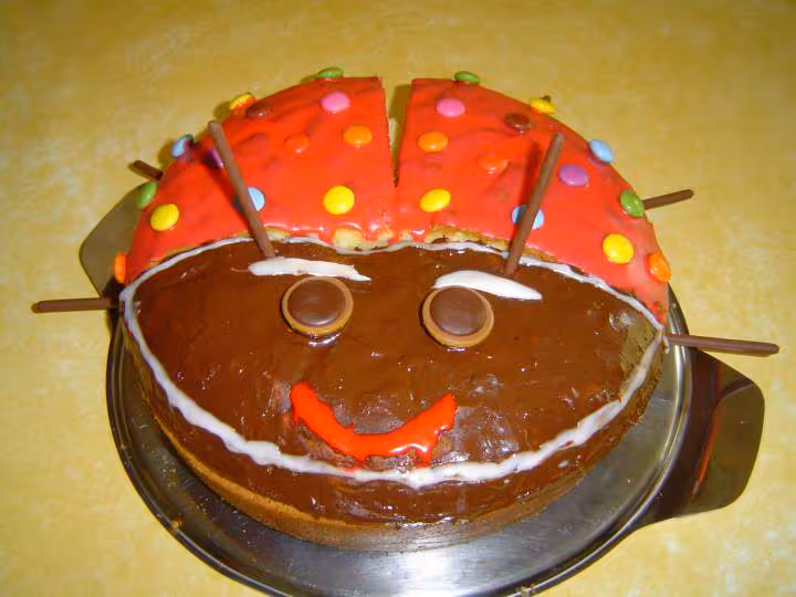 Coccinelle