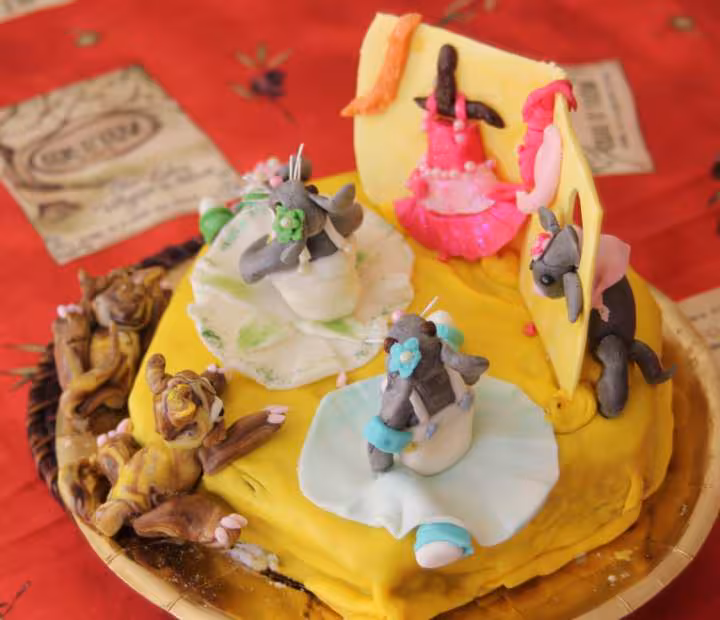 Les petits rats de l opera