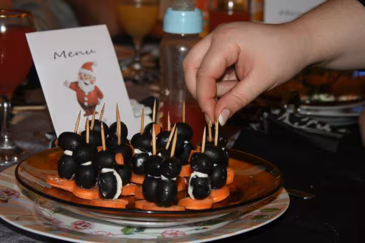 Pinguoin de noel
