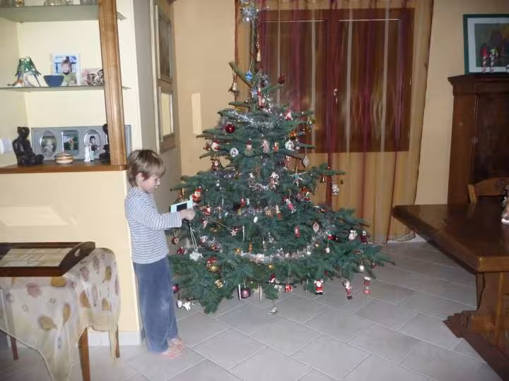 Sapin 2010