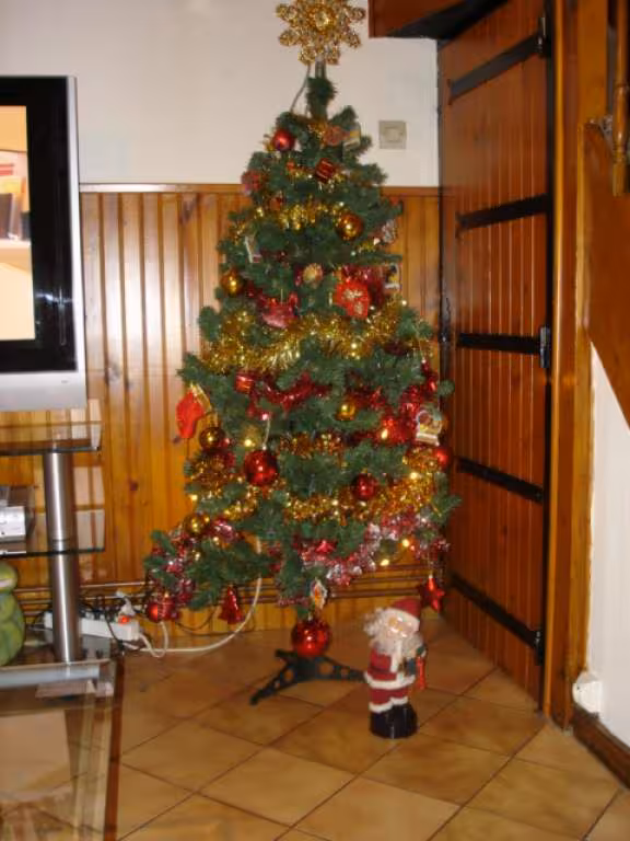 Mon sapin de noel
