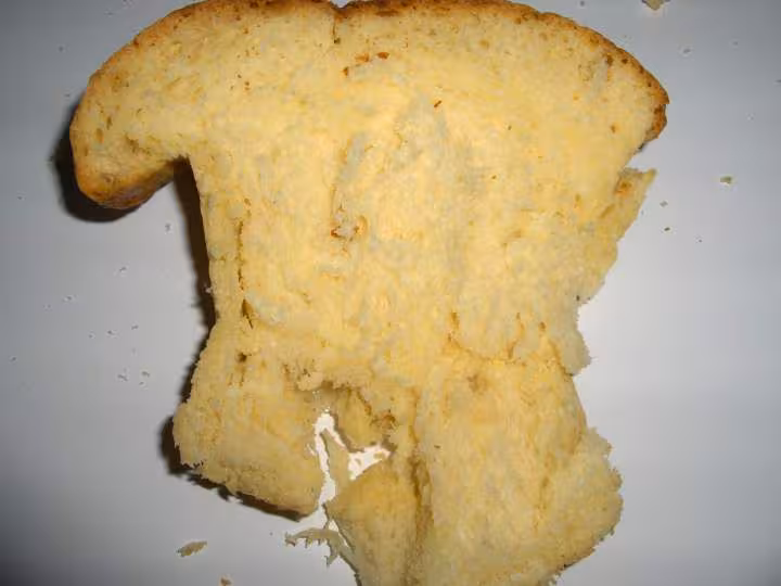 Brioche de flore 3