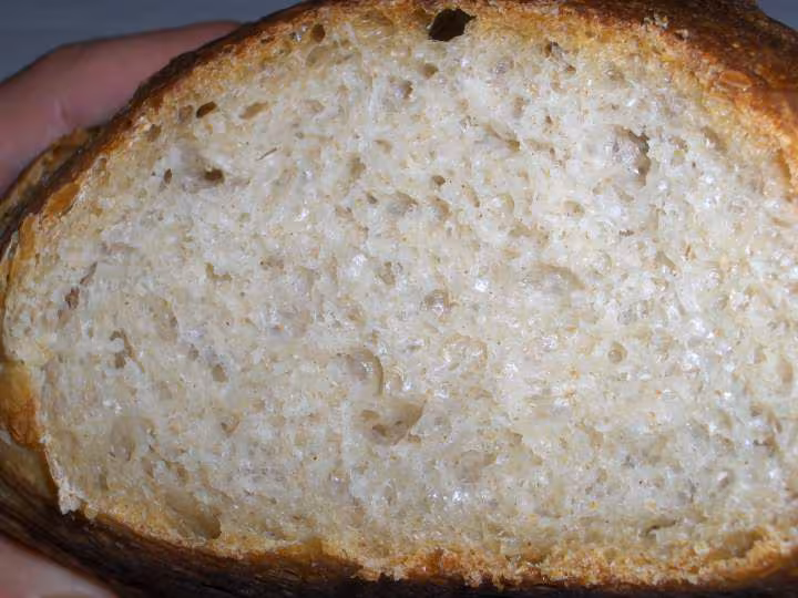 Tourte de meule