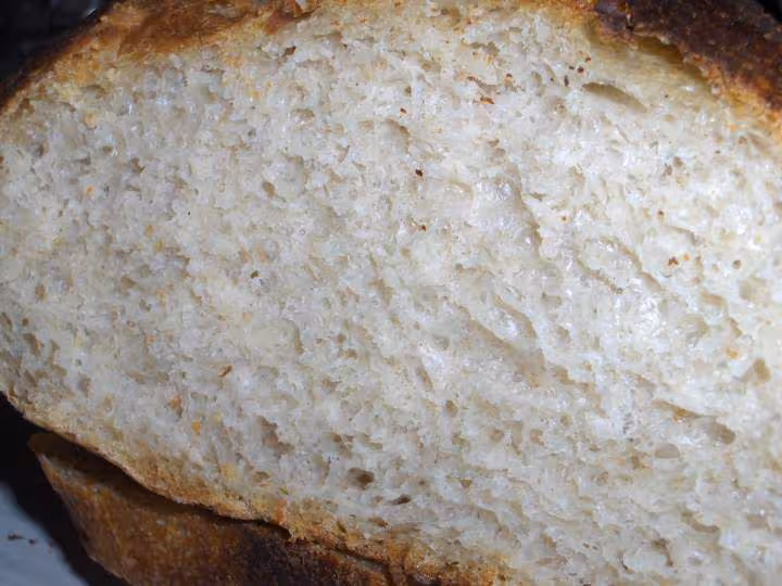 Tourte de meule