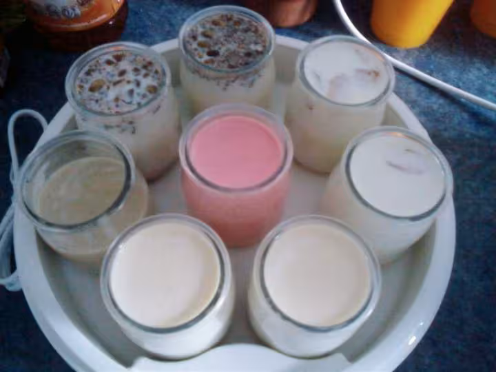 Yaourt mix