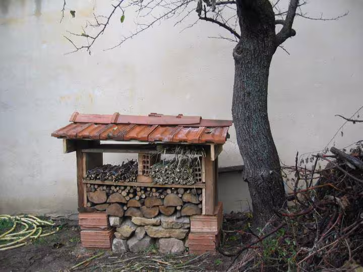 Maison aux insectes