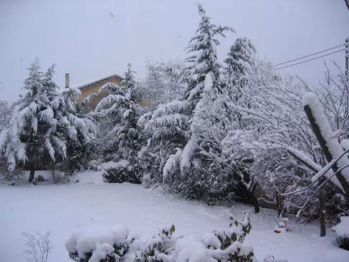 Neige