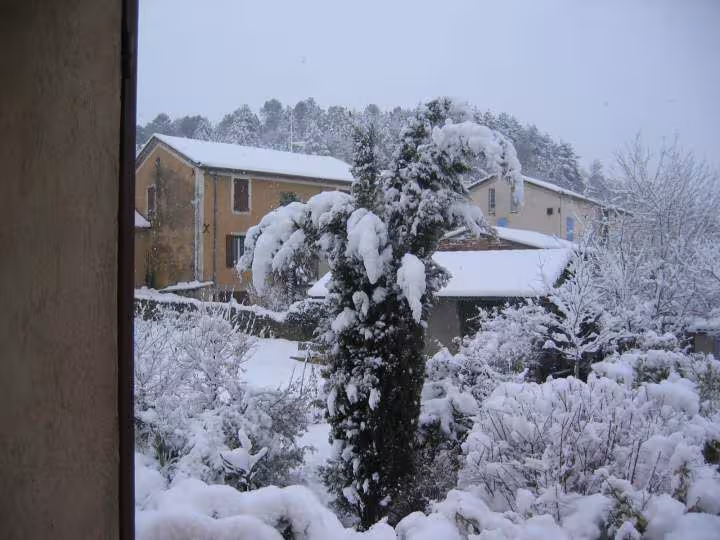 Neige