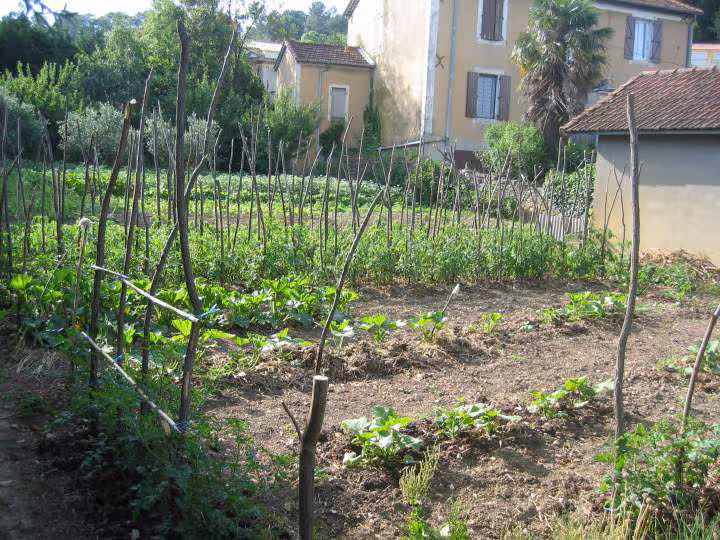 Potager