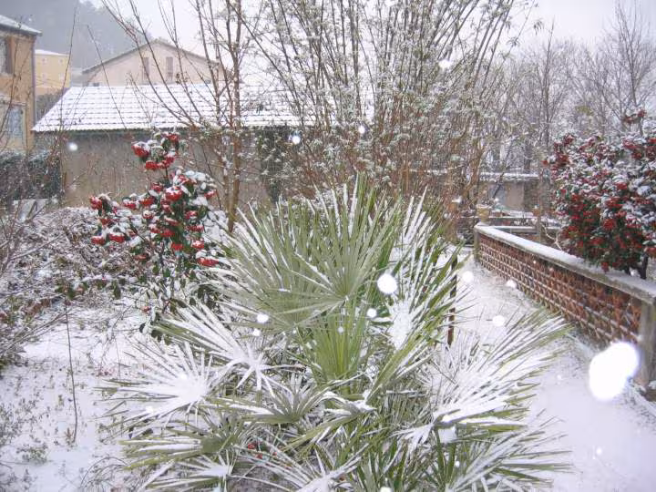 Premier neige