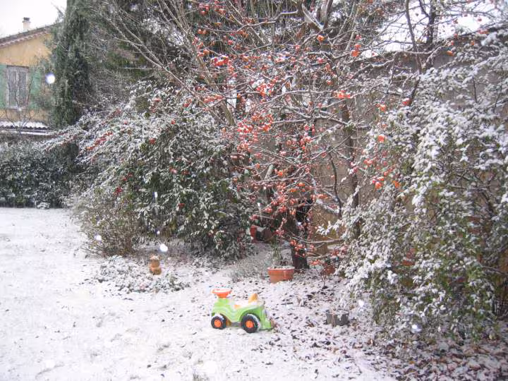 Premiere neige