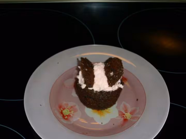 Cupcakes au chocolat