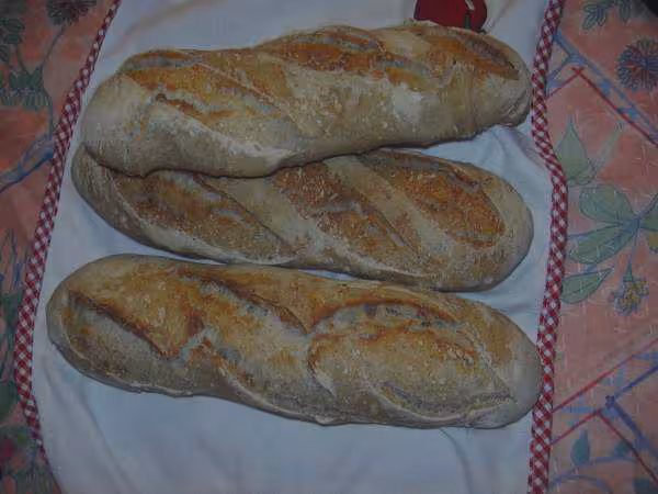 Baguettes au levain