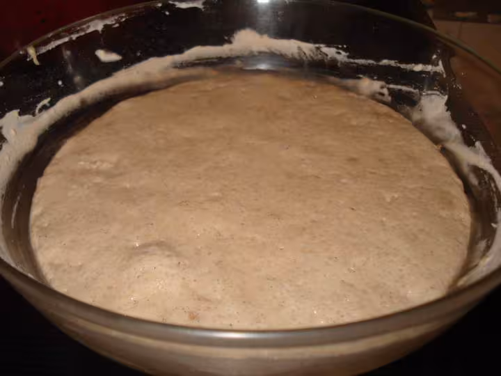 Levain liquide a la farine de sarasin 2e jour