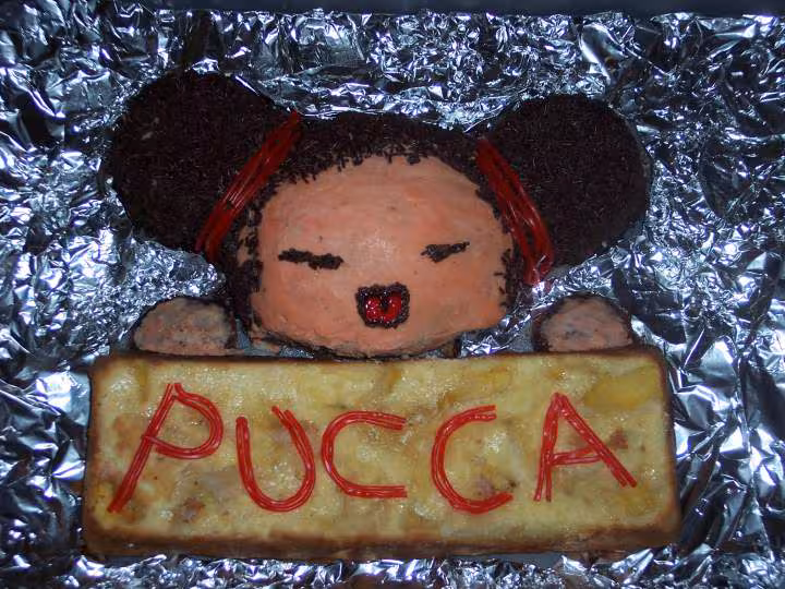 Pucca