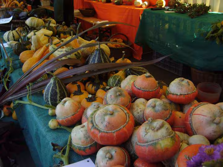 Fete du potimarron a luneville