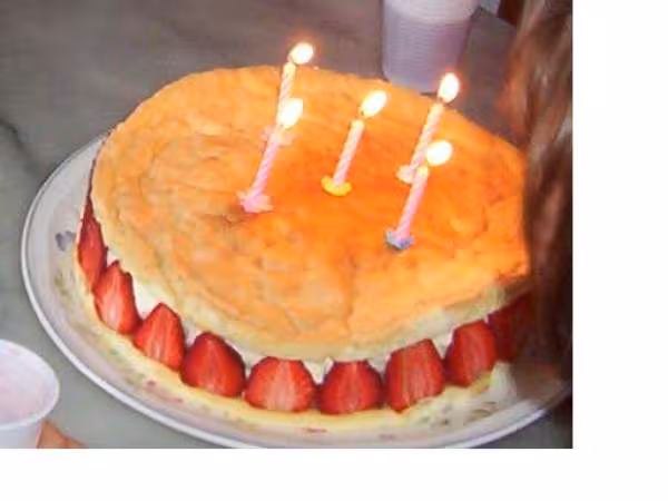 Fraisier