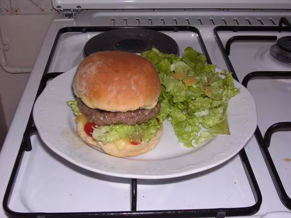 Hamburger