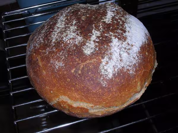 Pain 100 levain