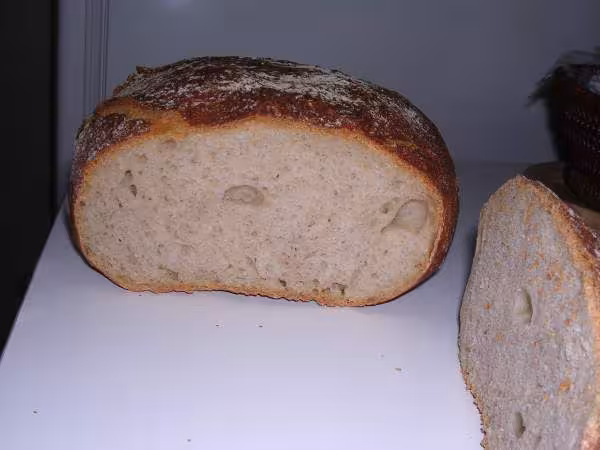 Premier pain 100 levain