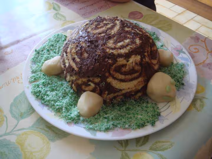 Tortue