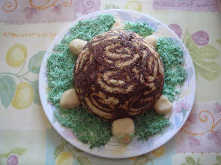 Tortue 2