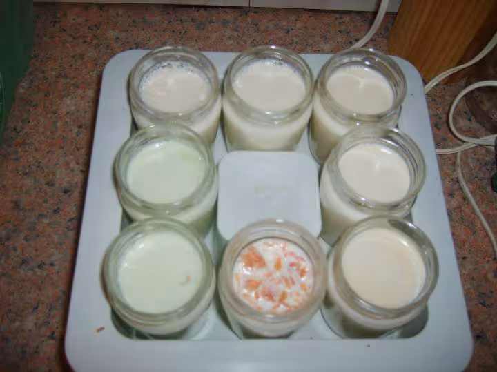 Mes yaourts au sirop