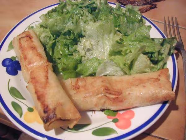 Nems aux poulet cuit au four