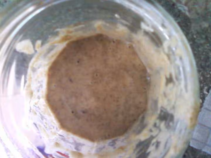 Levain nourri