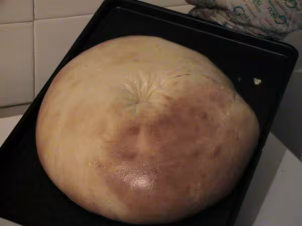 Ma premiere brioche monstrueuse