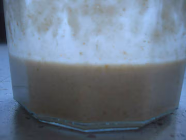 Levain liquide jour 5