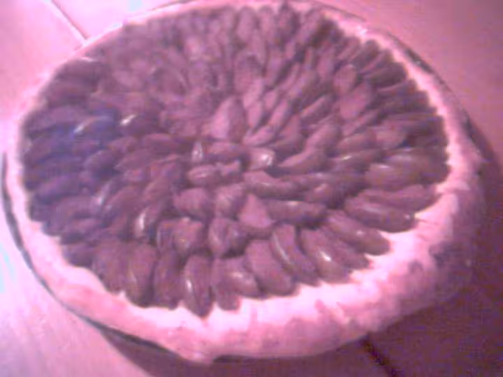 Tarte briochee aux prunes de grand maman