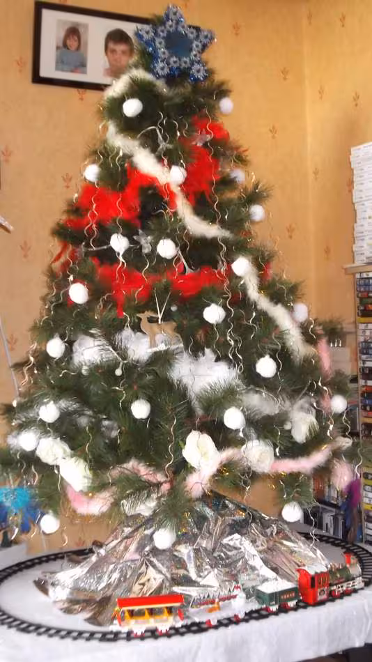 Sapin 2013