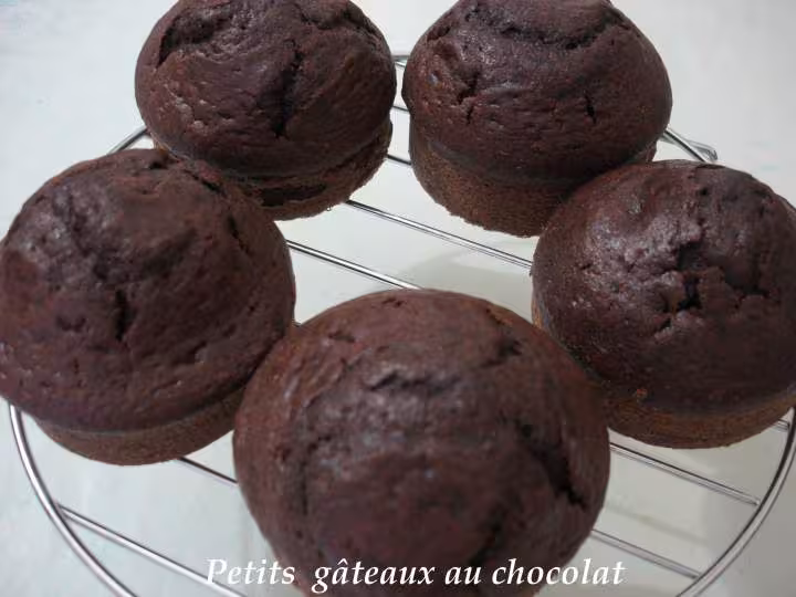Petits gateaux au chocolat