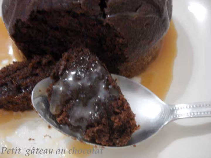 Petits gateaux au chocolat
