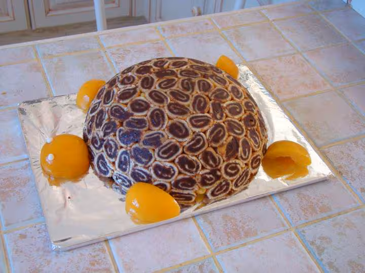 La tortue tupperware