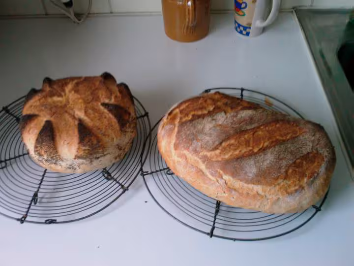 Pain de cxampagne