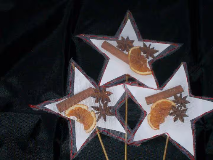 Etoiles de noel