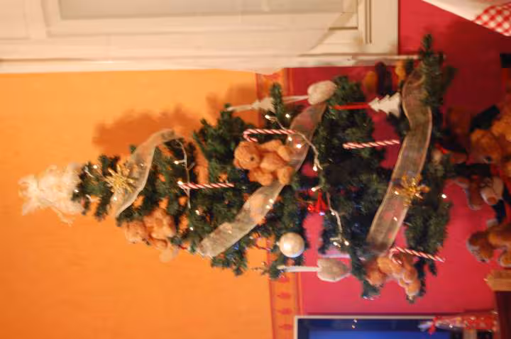 Sapin 2008
